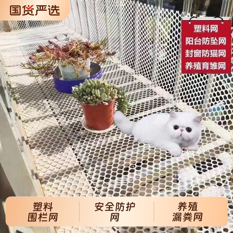 养殖塑料平网防护阳台防坠网
