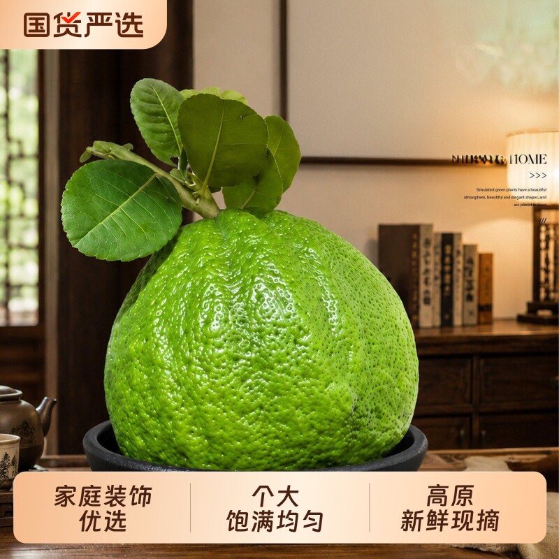 佛手柑鲜果新鲜佛手瓜切带枝室内摆件清供观赏闻香可食用花卉盆栽图片