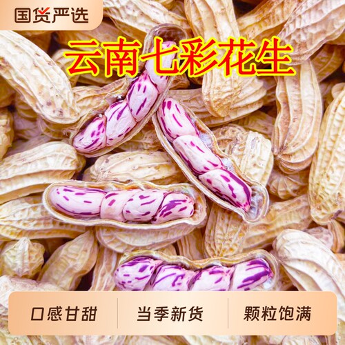 云鲜赞云南七彩花生咸干水煮熟花生新货带壳牛奶花生坚果五彩花生