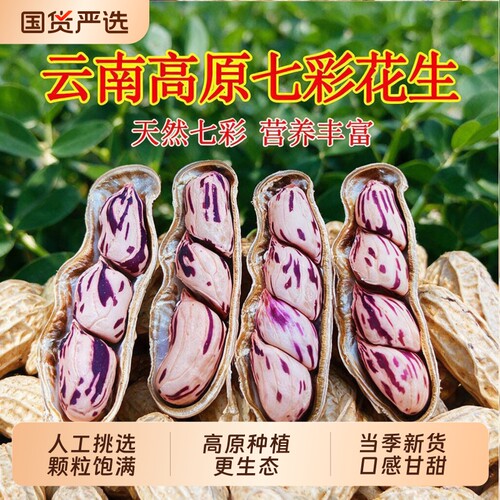 2026新货七彩花生米晒干云南普洱咸干花生牛奶花生种原味水煮健康