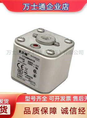 170M4515170M4516170M4517170M4518170M4519全新熔断器现货