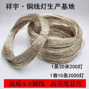 铜线灯裸铜丝灯银线30米新年节日装饰灯彩灯 led灯串灯带