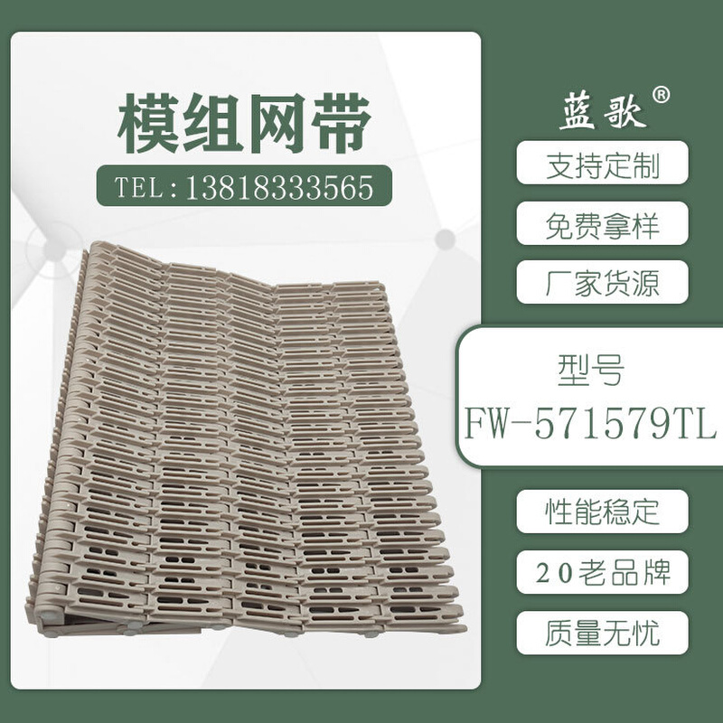 果蔬清洗食品输送网带塑料模组输送带流水线输送机网带厂家货源