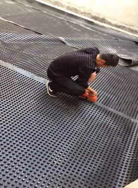 Malaysia蓄排水板厂家供应屋顶花园绿化dimple board塑料排水板