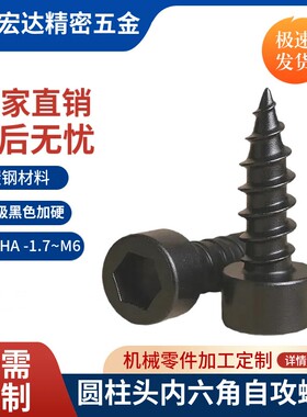 8.8级黑色圆柱头内六角自攻螺丝HA-M1.7~M6系列加硬杯头自攻螺钉
