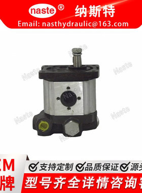 菲亚特 5180273 液压齿轮泵 现货工厂直发