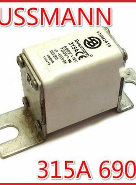 170M2619/2620/2621 170M2669/2670 170M2671 BUSSMANN熔断器