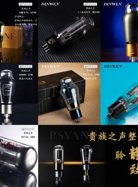 贵族之声WE274B/5U4G/5Z3P/5AR4/A274B功率整流管电子管询价惊喜