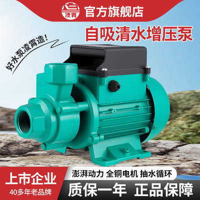 凌霄水泵1DZB-35/45/65抽水机