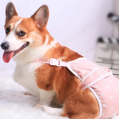 母狗姨妈裤姨妈宠物狗狗生理裤