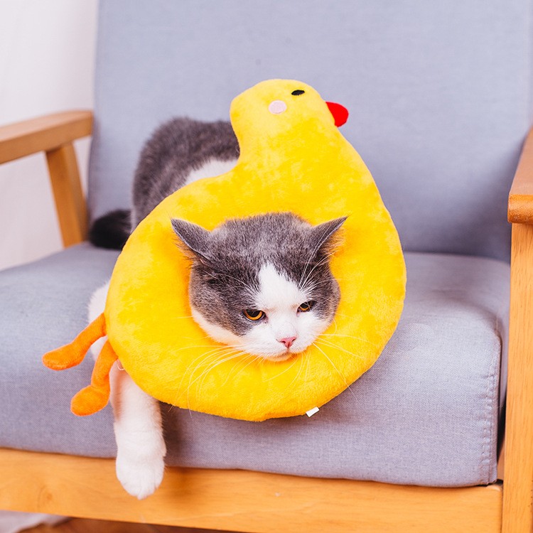猫咪伊丽莎白圈防舔防抓咬脖圈