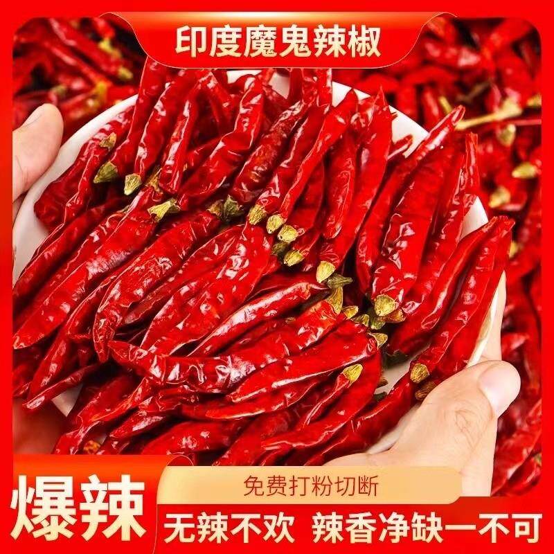 新货印度魔鬼椒辣椒干特辣
