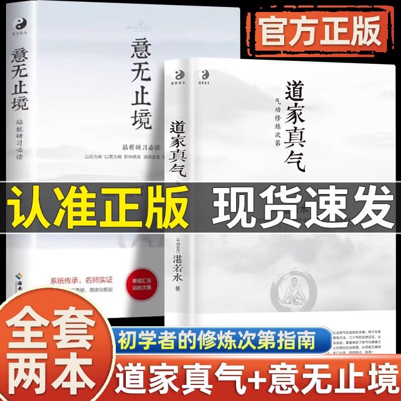 道家真气 意无止境气功修炼次第湛若水著气功初学者修炼练功入门人生三修修身养性道家真气传承两千余年的梅花门修炼心得正版