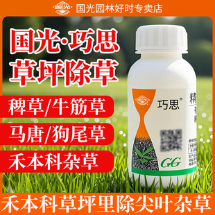 国光巧思黑麦草马尼拉高羊茅除尖叶草巴根草狗牙根马唐牛筋草烂根