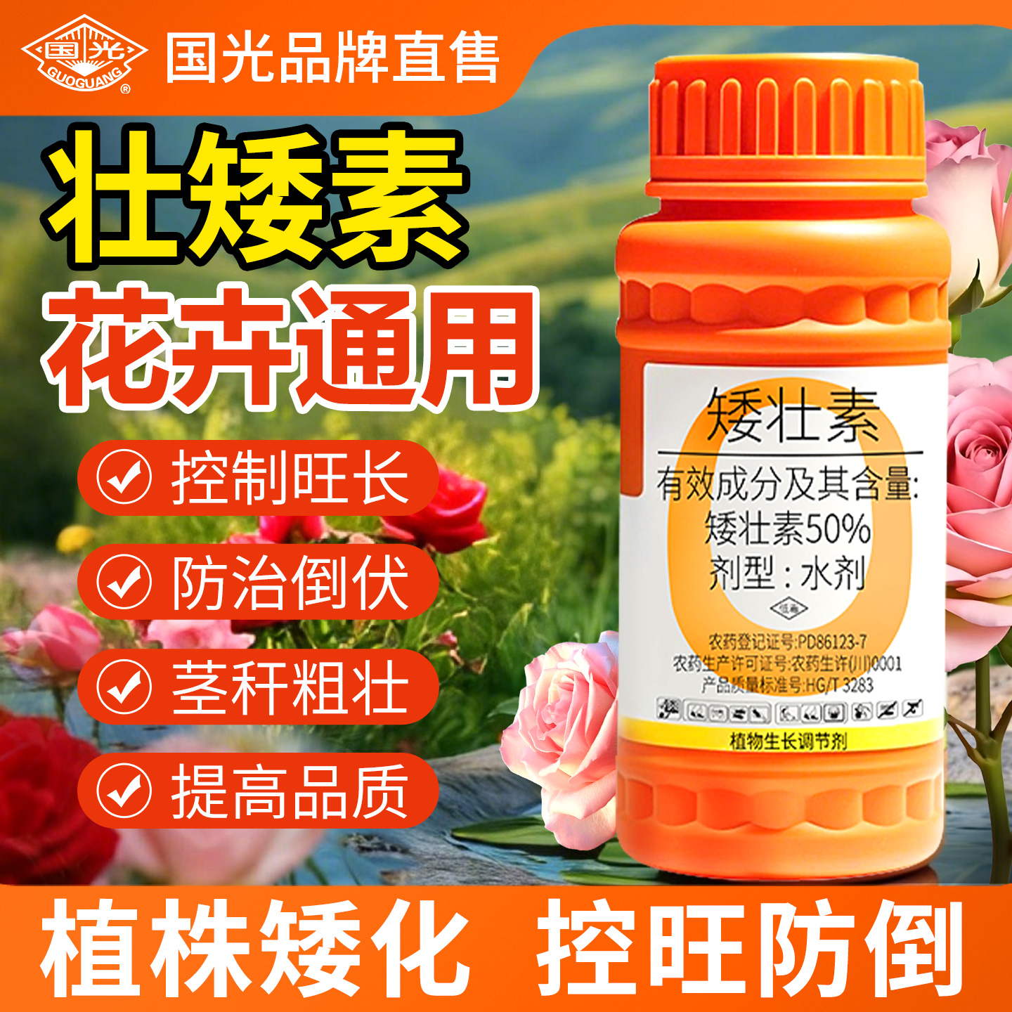 【花卉水仙花专用】矮壮素