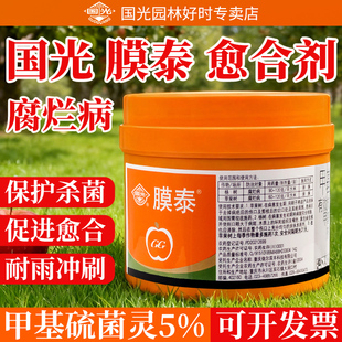 国光膜泰植物伤口愈合剂修复大树果树杨树甲基硫菌灵软腐病杀菌剂