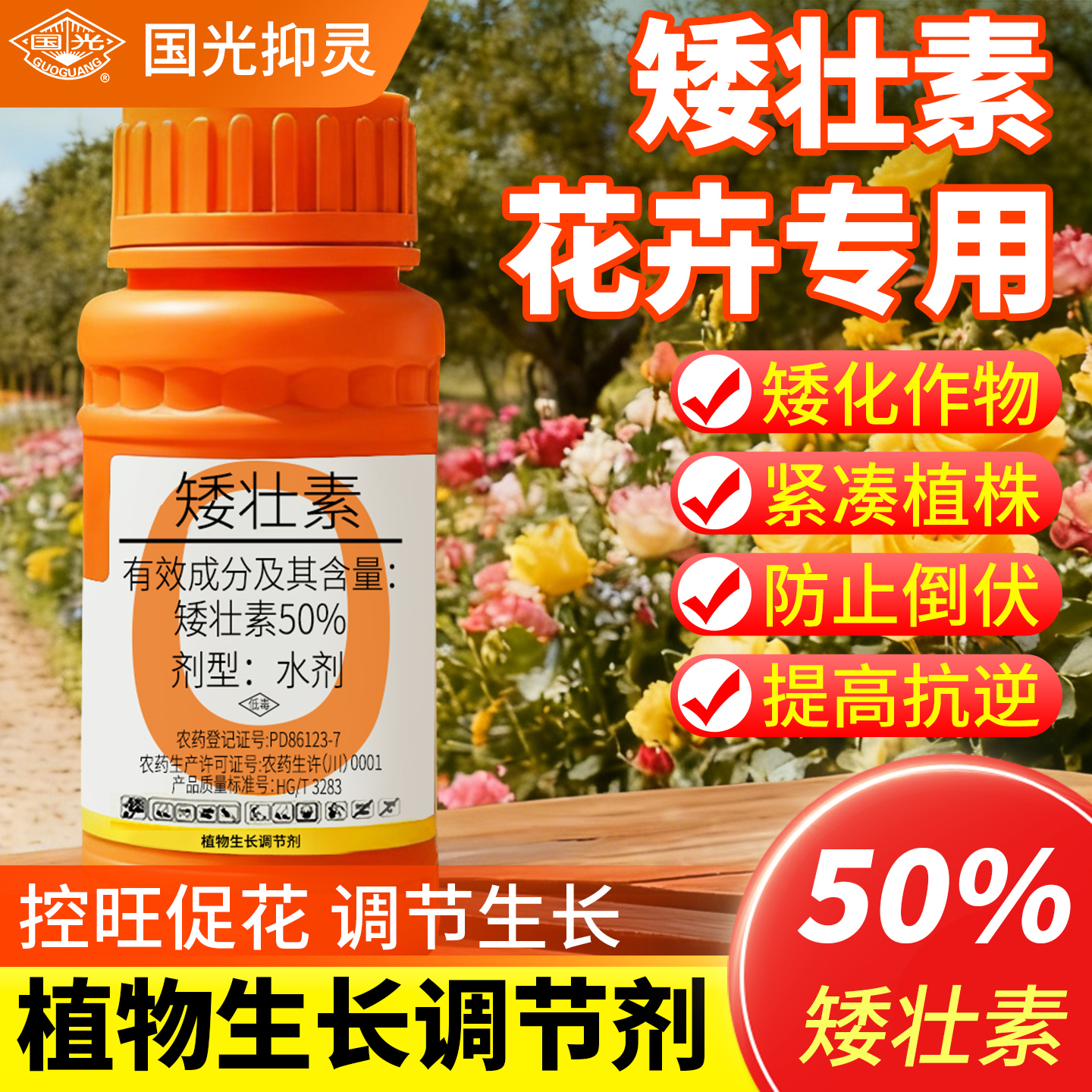 【花卉专用水仙】国光抑灵矮壮素