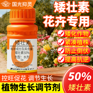 矮壮素花卉专用国光抑灵水仙蔬菜菊花油菜多肉植物防徒长爆芽增色