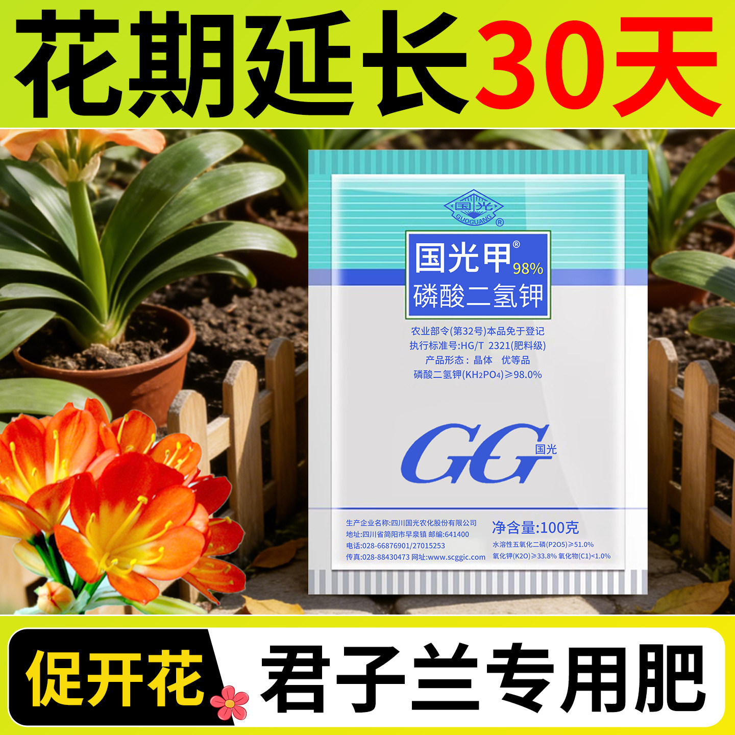 君子兰专用肥国光甲磷酸二氢钾促花肥料花卉专用营养水溶肥高纯度,鲜花速递/花卉仿真/绿植园艺,家庭园艺肥料,淘宝优惠券,粉丝福利购,淘宝优惠卷