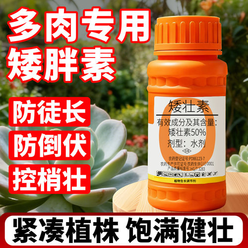 【促矮化促生长】多肉专用