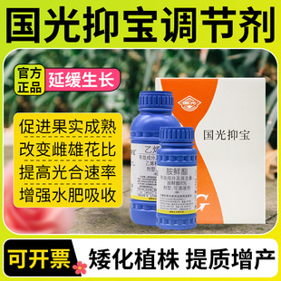 国光抑宝植物生长调节剂盆栽矮化果树石榴树柿子树紫竹控旺矮化剂