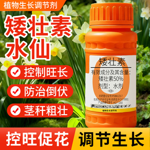 矮壮素花卉专用国光抑灵水仙花矮胖素蔬菜油菜植物多肉控梢调节剂