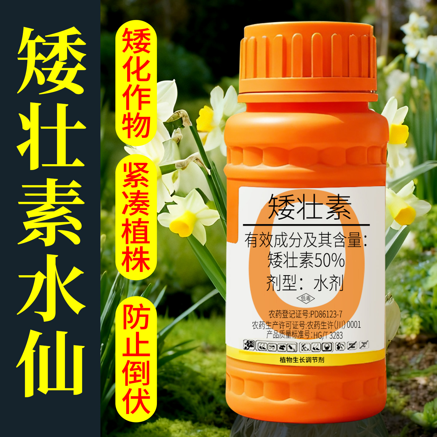 【水仙花卉专用】控旺防倒