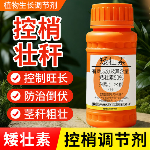 【3天矮化控旺】花卉植物通用