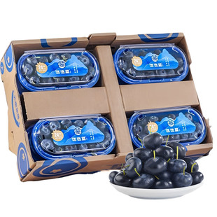皇冠迷迭蓝蓝莓超大果次日达单果24mm+200g/盒