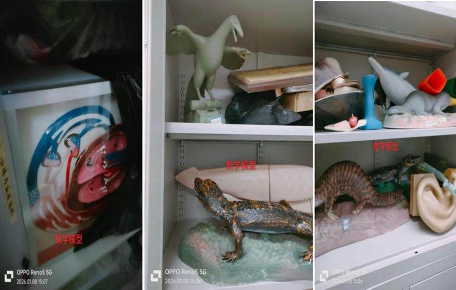 1月19日北京西城区某单位（SF）一批报废资产网络拍卖公告