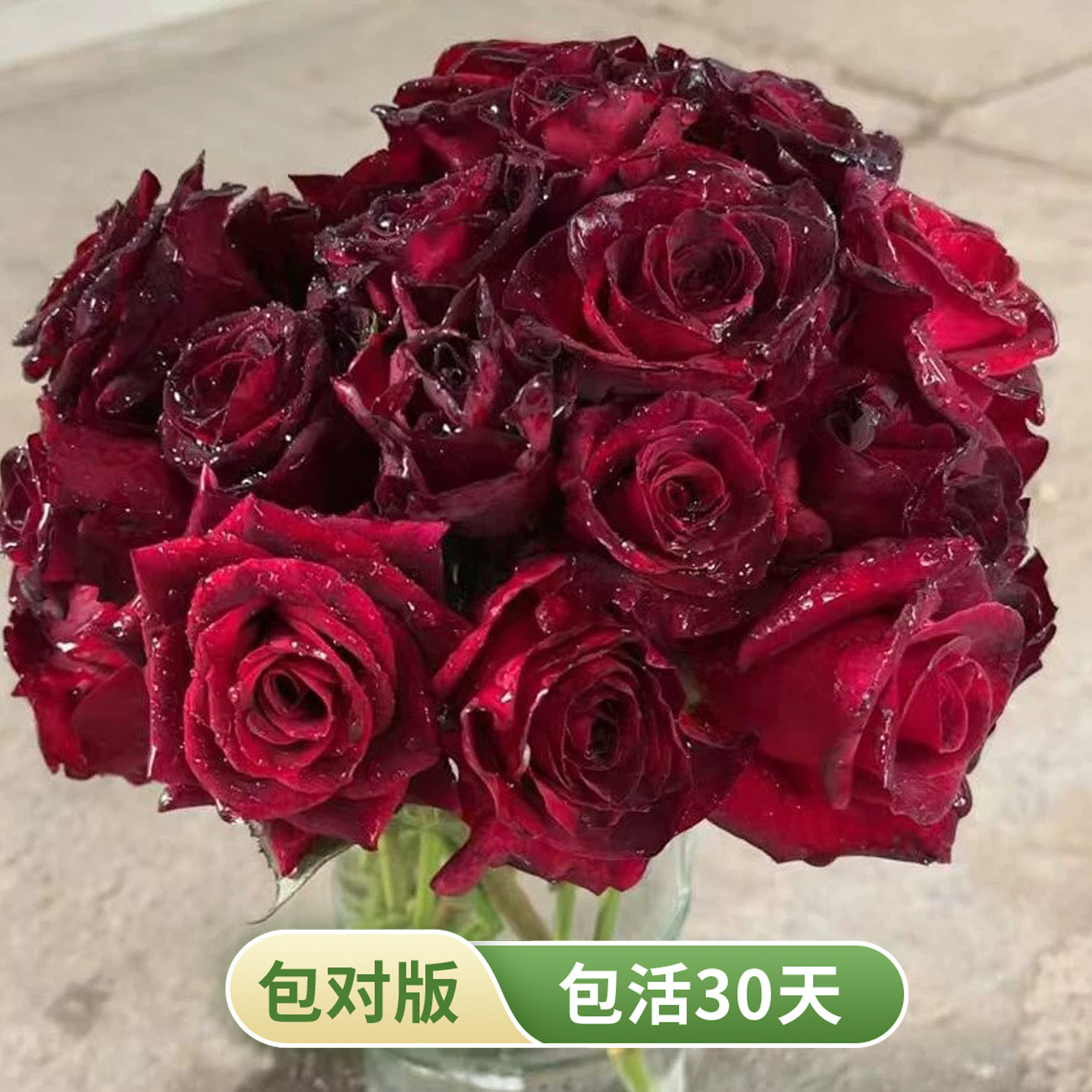 黑巴克月季花苗切花玫瑰花灌木