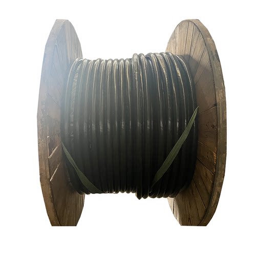 日月 铜芯铠装阻燃电缆 ZR-YJV22-0.6/1KV 5X16mm² / 米