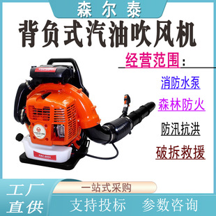 背负式 汽油吹风机EBZ9900道路吹扫鼓风机四冲程吹风机