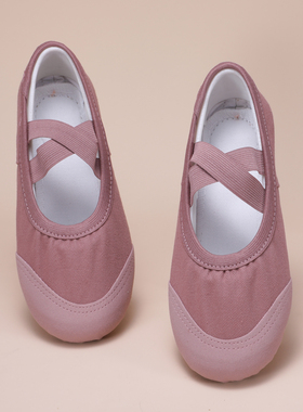 舞蹈鞋软底女孩紫色教师专用莫兰迪皮头成人跳舞中国古典芭蕾练功