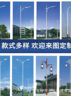 新农村市政工程超亮镀锌道路市电路灯户外路灯6米8米10米12米led