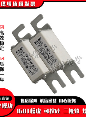 170M2691 170M2692 170M2693 170M2694 170M2695 170M2696熔断器