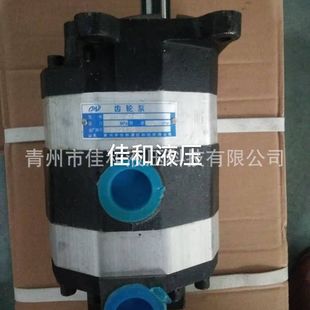 多种规格 材质结实 工地打桩机双联齿轮泵 重量轻