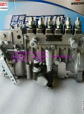 WP6发电机组柴油机工业动力用喷油泵13057958