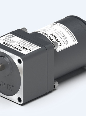 浙江联宜 10W 电磁制动电机 YN60-110-10NAD