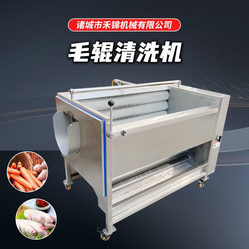 土豆毛辊清洗机根茎类去泥清洗机中草药毛刷清洗机全自动洗姜机