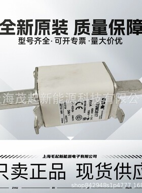 170M3815 170M3817 170M3810D 170M3812D 170M5806 巴斯曼熔断器