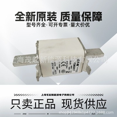 170M3815 170M3817 170M3810D 170M3812D 170M5806 巴斯曼熔断器