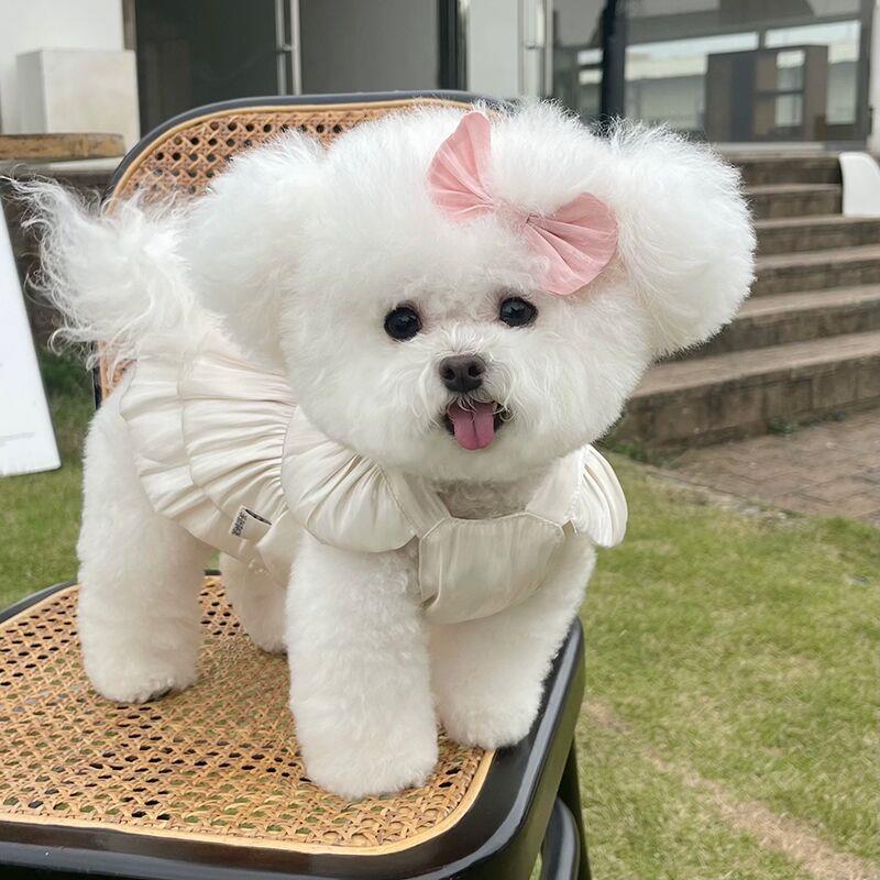 宠物衣服春夏新款流光透气纱裙泰迪比熊狗狗猫咪外出牵引防晒衣服