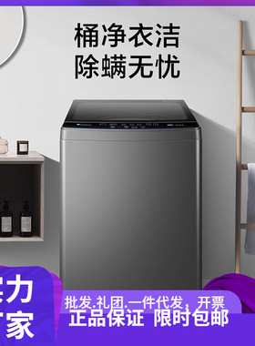 小.天鹅12KG大容量全新免清洗波轮洗衣机TB120-1808B