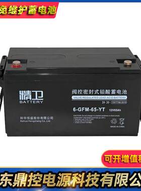 科华6-GFMGFM-100-200-YT精1卫蓄电池2V免200AH维护UP电源用铅酸