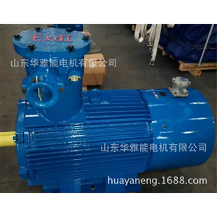 55KW电机注油孔带注油孔排油孔喷底漆 BM防爆电机端盖XDM2 280M