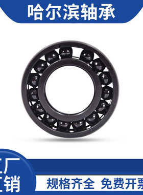哈尔滨耐高温轴承 970219 970220 970221 970222   970224 970226