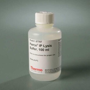 87787赛默飞Pierce IP裂解缓冲液（免疫沉淀） 蛋白抽提液100ml
