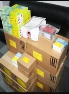 bio-rad伯乐小型垂直电泳转印套装1658033