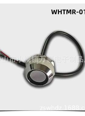 IB读头DS9092探头TM1990WHTMR-01A感应ic卡高频巡更智能智能巡更